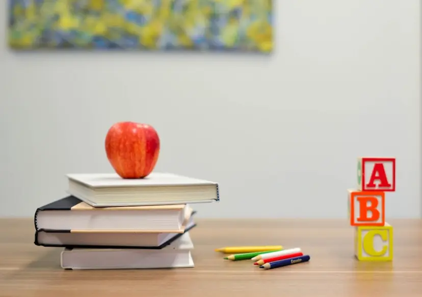 International English Language Testing System