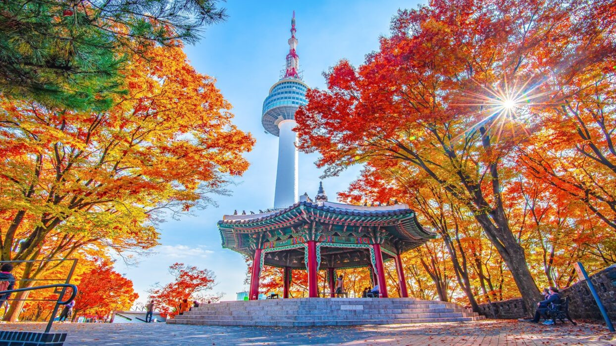 Study In South Korea